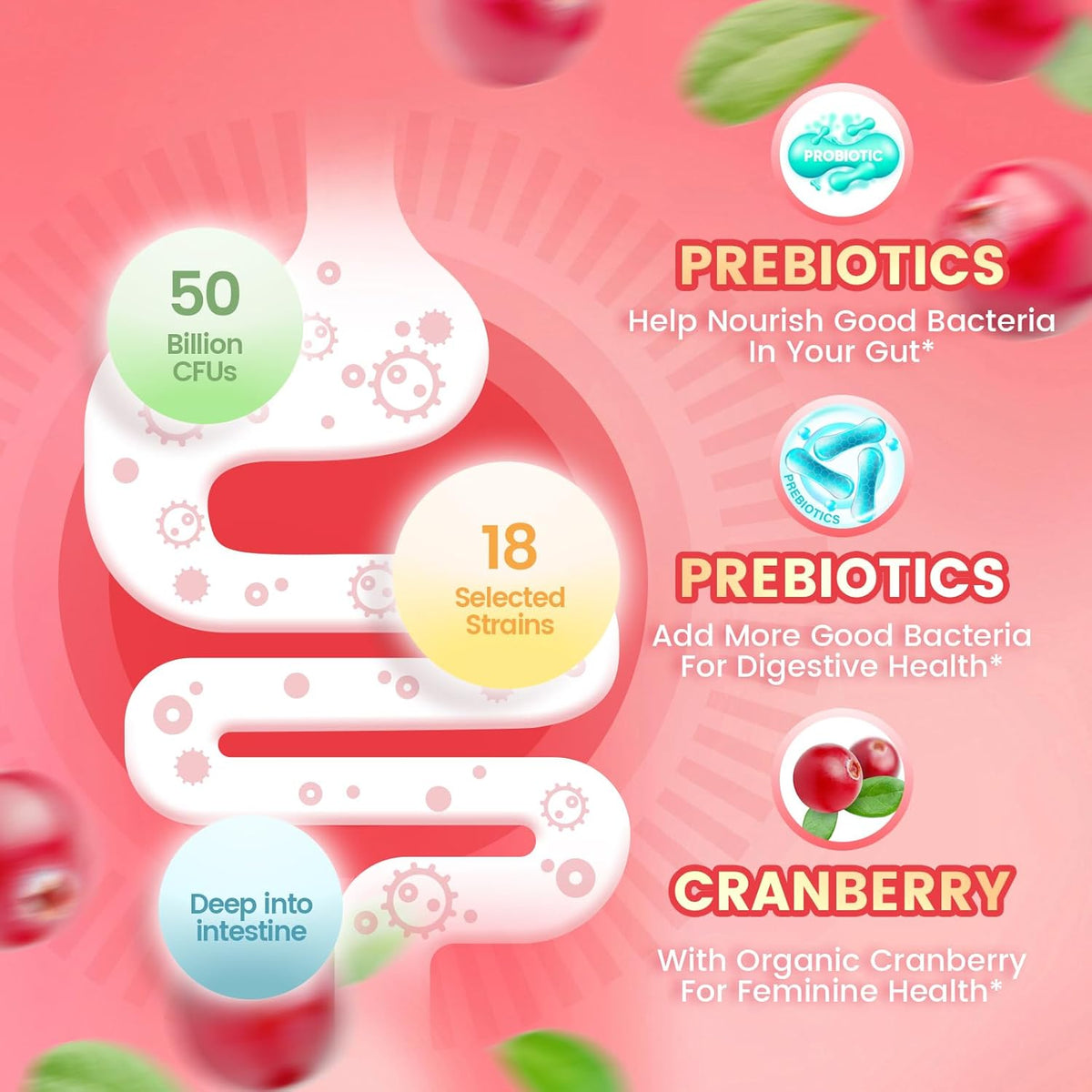 Feminine Balance Probiotic Gummies – Vegan & Halal Formula for Yeast & pH Support | with Cranberry, 60 Gummies